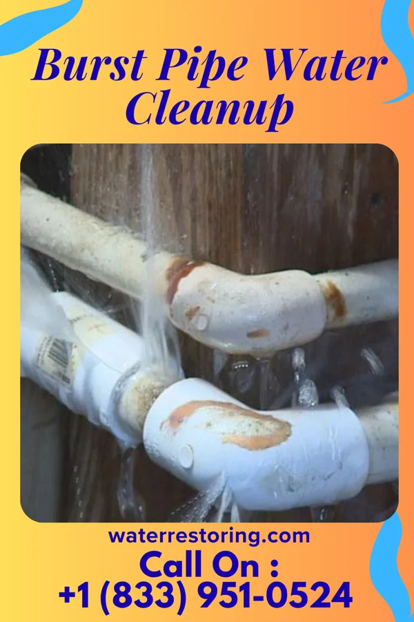 Burst Pipe Water Cleanup in Chester, WV