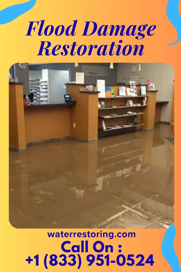 Flood Damage Restoration in Chester, WV