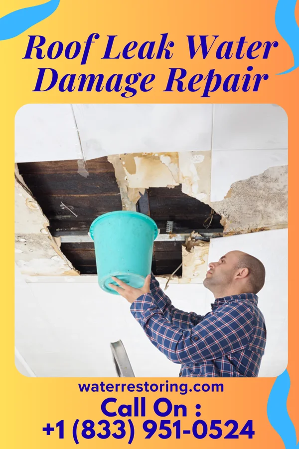 Roof Leak Water Damage Repair in Chester, WV