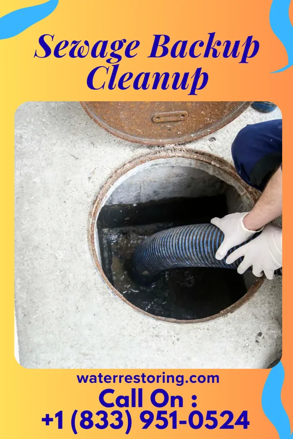 Sewage Backup Cleanup in Chester, WV