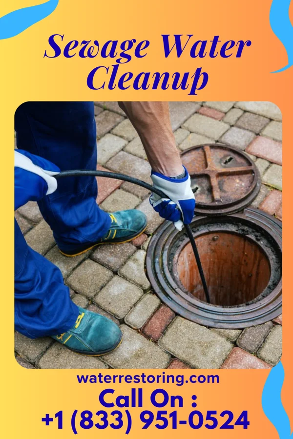 Sewage Water Cleanup in Chester, WV