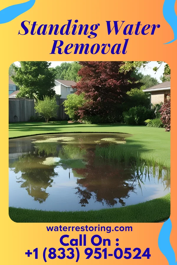 Standing Water Removal in Chester, WV